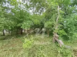 Фото к объявлению #22288782