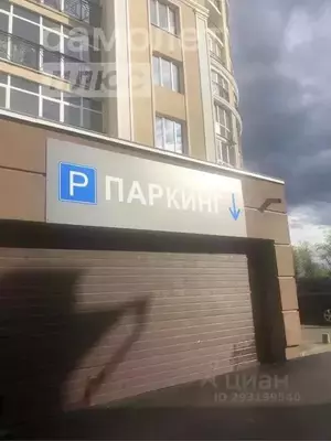 Фото к объявлению #20237743