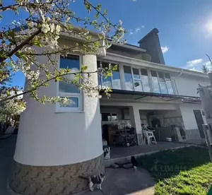 Фото к объявлению #22289921