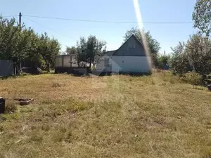 Фото к объявлению #22206844
