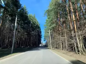 Фото к объявлению #22052912