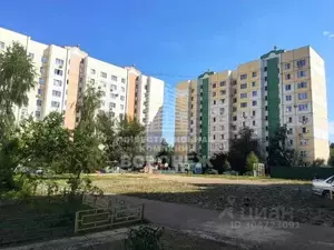 Фото к объявлению #20511720