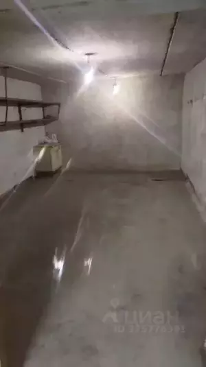 Фото к объявлению #22256985