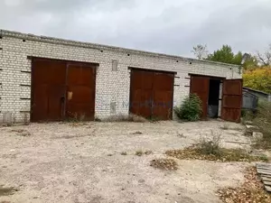 Фото к объявлению #22270284