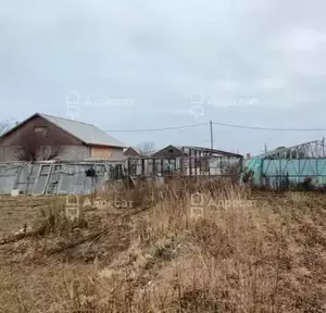 Фото к объявлению #22173017