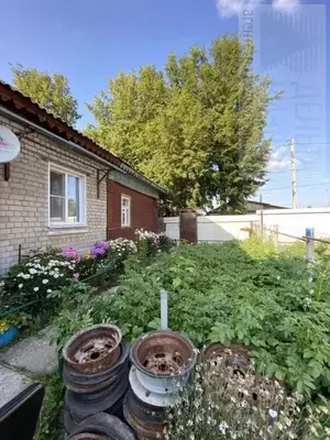 Фото к объявлению #22198511