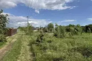 Фото к объявлению #22281237