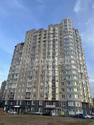 Фото к объявлению #22195216