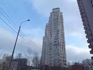 Фото к объявлению #21759019