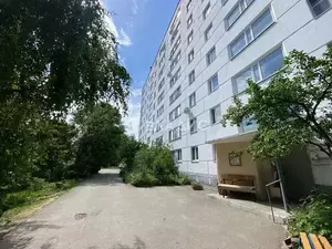 Фото к объявлению #21642967