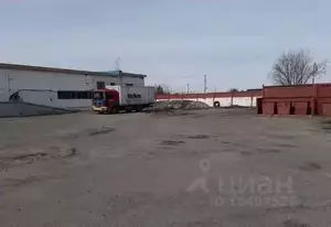 Фото к объявлению #21330936