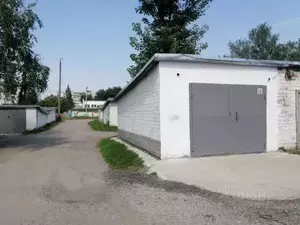 Фото к объявлению #20825034