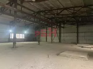 Фото к объявлению #22152919