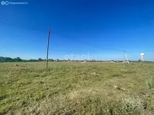 Фото к объявлению #21863892
