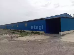 Фото к объявлению #21041832