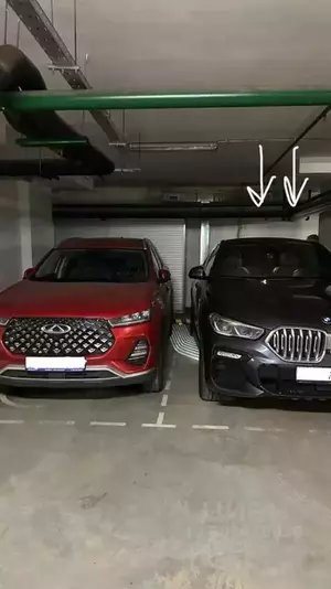 Фото к объявлению #21625257