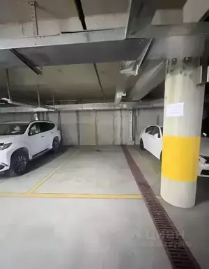 Фото к объявлению #22229211