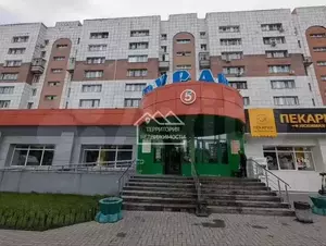 Фото к объявлению #22170111