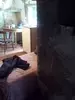 Фото к объявлению #