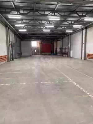 Фото к объявлению #20011049