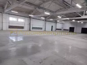 Фото к объявлению #22208067