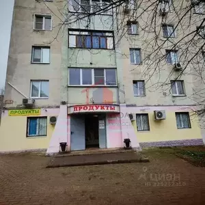 Фото к объявлению #22267556
