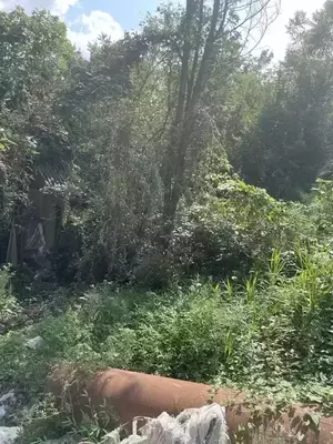 Фото к объявлению #21065384