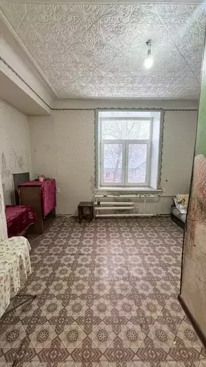 Фото к объявлению #22282703