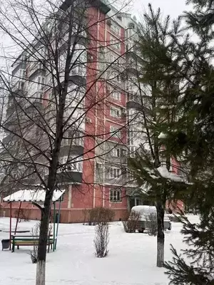 Фото к объявлению #22221975