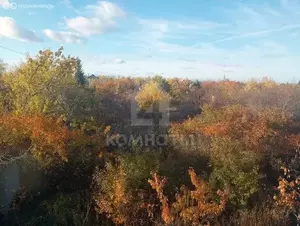 Фото к объявлению #21672583