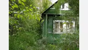 Фото к объявлению #22108294