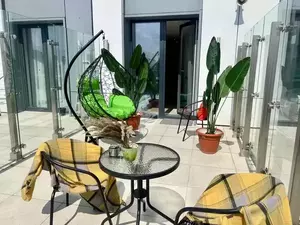 Фото к объявлению #22099529