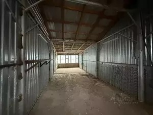 Фото к объявлению #22262234