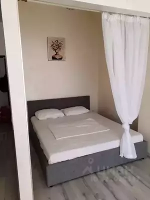 Фото к объявлению #22182946