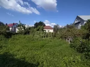 Фото к объявлению #22281637