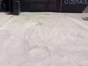 Фото к объявлению #20877595