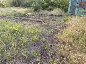 Фото к объявлению #22022368