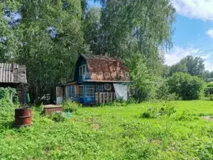Фото к объявлению #20851241