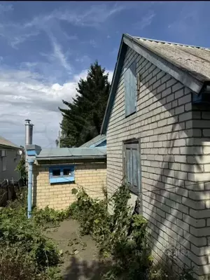 Фото к объявлению #22173650