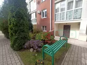 Фото к объявлению #20389633