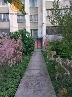 Фото к объявлению #20551671
