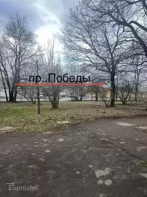 Фото к объявлению #22240677