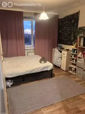 Фото к объявлению #22148518