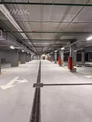 Фото к объявлению #22256065