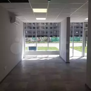 Фото к объявлению #20592172