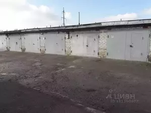 Фото к объявлению #22287408