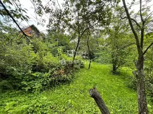 Фото к объявлению #20519712