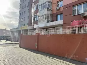 Фото к объявлению #21378647