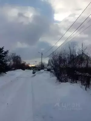Фото к объявлению #21985200