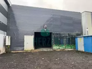 Фото к объявлению #22204237